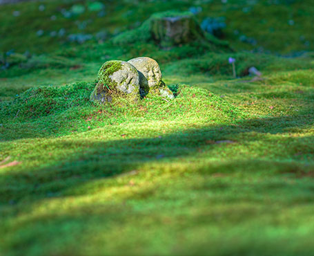 中影之星文化傳播企業(yè)官網(wǎng)