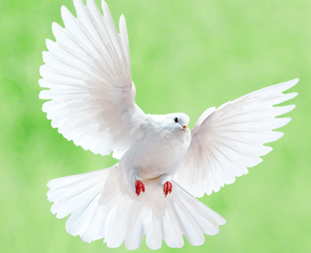 野谷集團(tuán)網(wǎng)站|一網(wǎng)天行-網(wǎng)站建設(shè)小程序APP系統(tǒng)軟件開(kāi)發(fā)公司