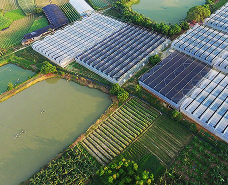 健康產(chǎn)業(yè)集團(tuán)公司品牌宣傳網(wǎng)站|一網(wǎng)天行-網(wǎng)站建設(shè)小程序APP系統(tǒng)軟件開發(fā)公司